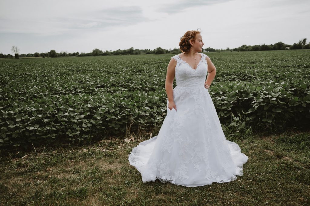 North Gower Backyard Wedding - Bride poses in a field of soybeans
